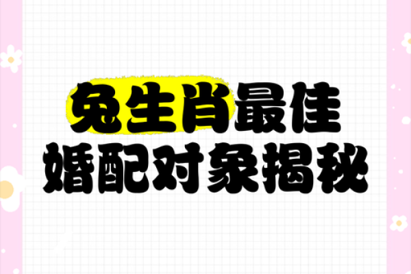 虎兔婚配的婚姻如何(虎兔相配能长久吗)