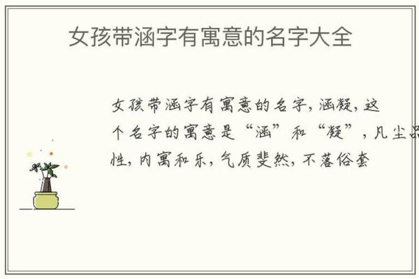 涵养高雅女孩名字(涵养高雅女孩名字姓费)