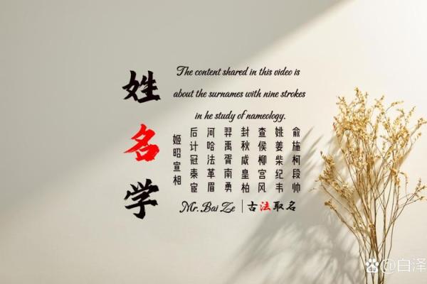 九画的字男孩起名字用字(取名9画最佳用字)