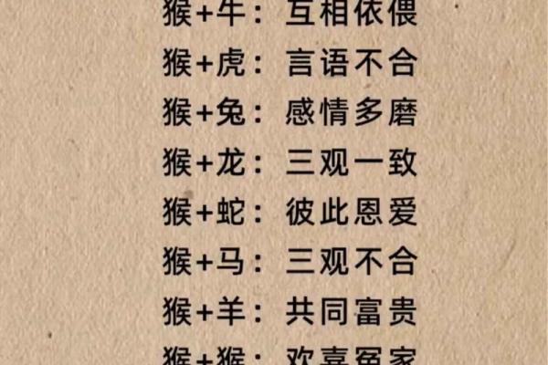 婚姻属相配对表