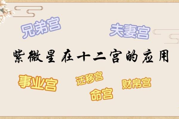 紫微斗数哪个宫看美貌(紫微斗数如何看漂亮)