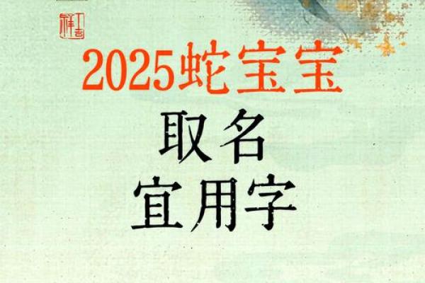 2025年蛇宝宝取名字最佳字(2025年蛇宝宝取名字最佳字带同子的)