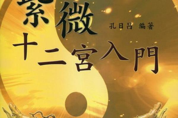 紫微斗数精成(紫微斗数精成pdf)
