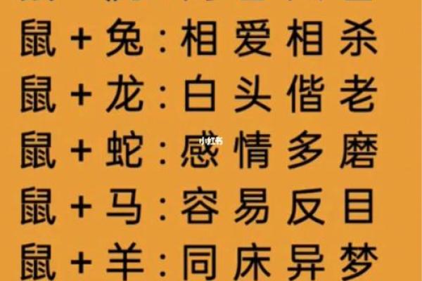 属狗和属兔的婚姻相配吗(男狗女兔千万别在一起)