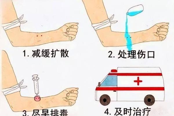 梦到被大蛇咬是什么征兆 男性