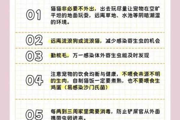 女人梦见猫身上有虫子是什么预兆