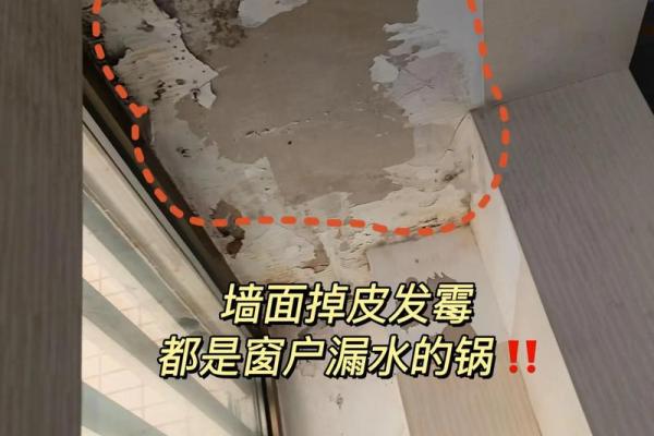 女人梦见下雨窗户进水