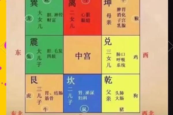 风水是什么(风水是什么详细解释)