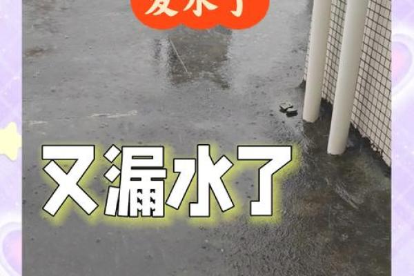 梦到房屋下雨漏水是什么意思