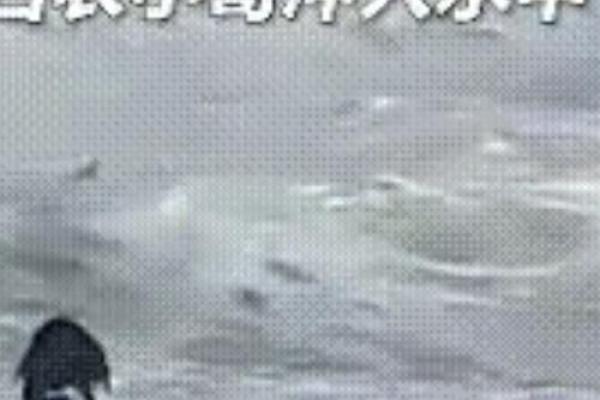 梦到衣服被水冲走了