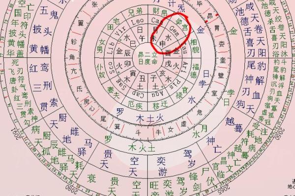 紫微斗数个人命盘详解(紫微斗数个人命盘详解)