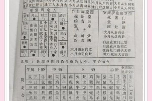 93和97年的婚姻匹配吗(93和97年婚配合适吗)