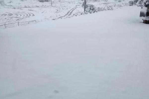 梦见外面下雪