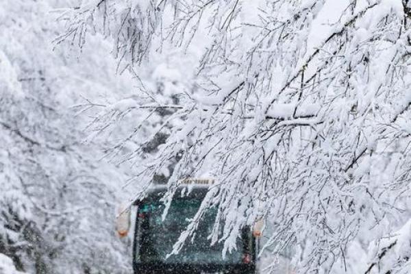 梦见外面下雪
