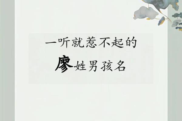 廖姓男孩取名100分(2020年廖姓男孩名)
