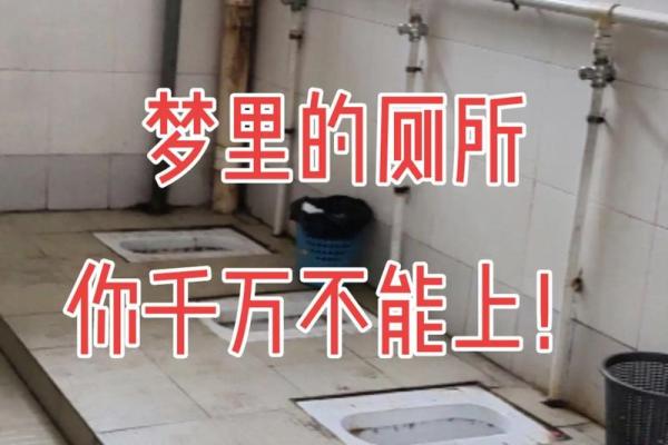 梦见把屎弄在身上是什么意思