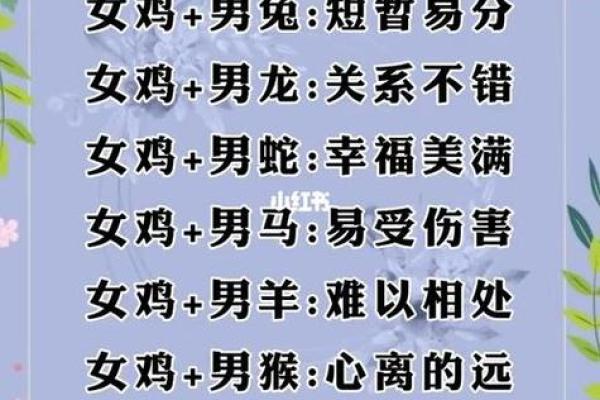 虎女和龙男相配婚姻如何(虎女和龙男配吗)