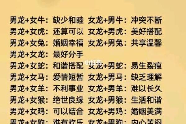 虎女和龙男相配婚姻如何(虎女和龙男配吗)
