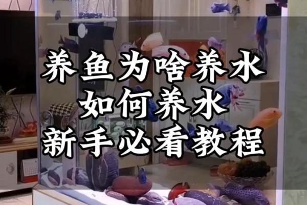 养鱼风水讲究(家中鱼缸养几条鱼最好)