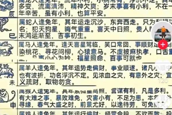 属马女孩取名字寓意好的字(属马女孩取名字寓意好的字2014年)