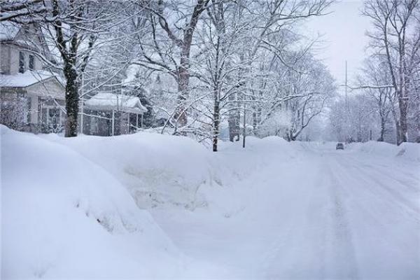 梦见下雪米子是什么征兆