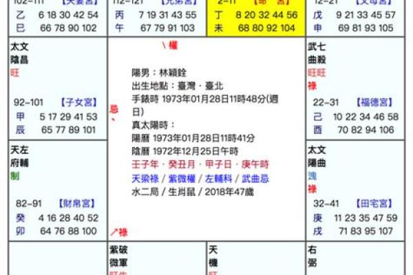 紫微斗数 命盘(紫微斗数个人命盘详解(免费版))