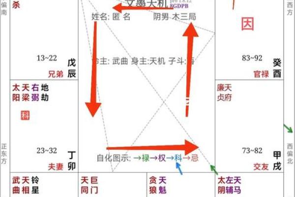 紫微斗数 命盘(紫微斗数个人命盘详解(免费版))