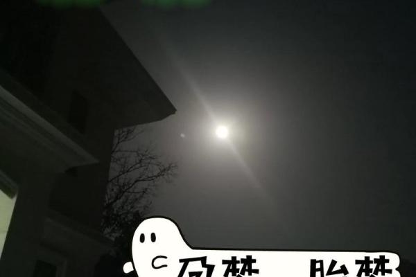 孕妇梦到小黑蛇