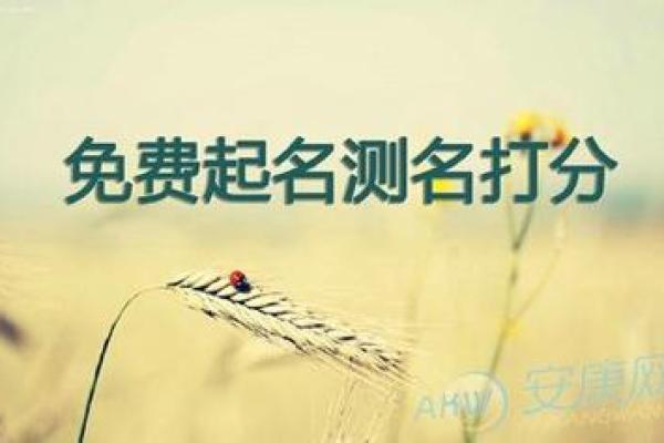 公司测名打分(公司测名打分免费测试)