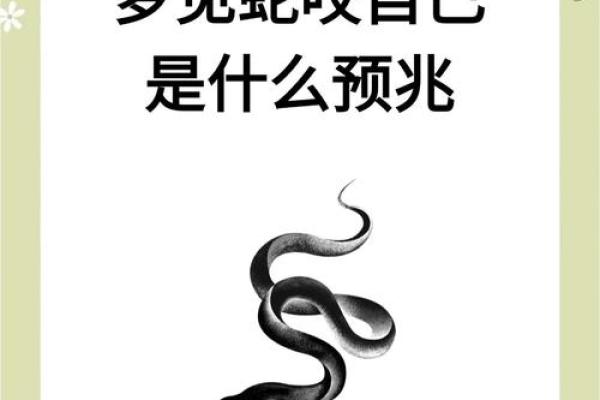 男人梦见蛇又打死是什么预兆