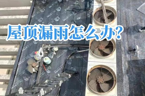 梦见家下雨屋子漏雨