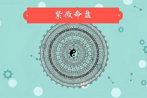 台湾紫微斗数windada(台湾紫微斗数在线排盘免费)