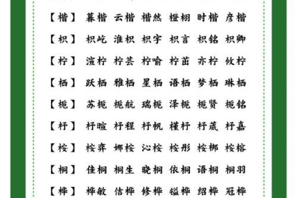 木字旁的字男孩起名字(木字旁的字男孩起名字12画)