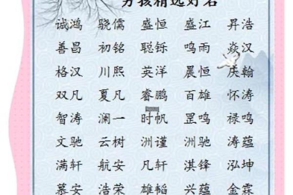 带文字的男孩名字(带文字的男孩名字洋气)