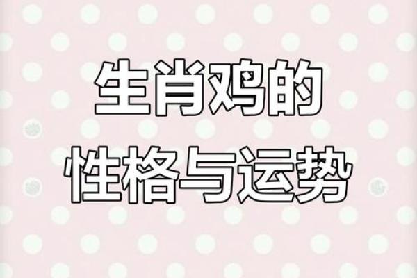 93鸡男95猪女八字合不合(93鸡男95猪女八字合不合婚姻)