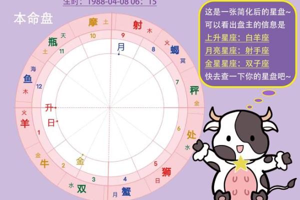 怎么测试自己的星座星盘(怎样测试星座星盘)