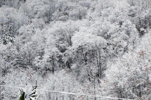 梦见晴天下雪