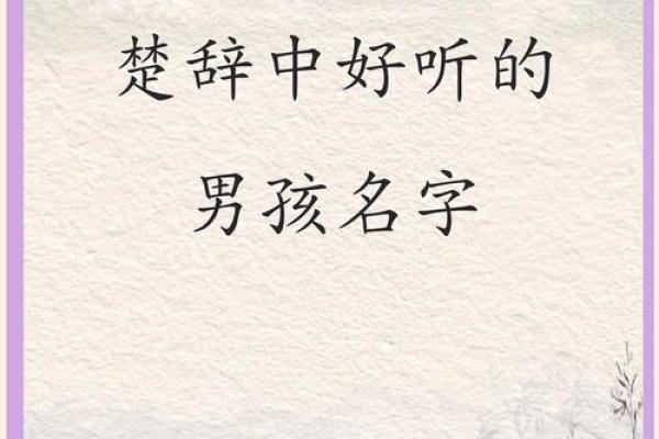 楚辞500名字男孩(楚辞500名字男孩属马)