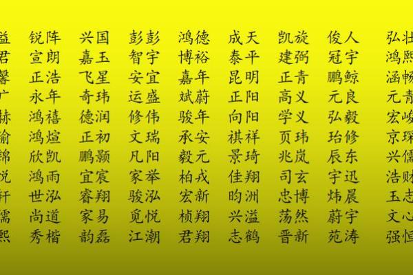 狗宝宝取名字最佳字(狗宝宝取名字最佳字女孩)