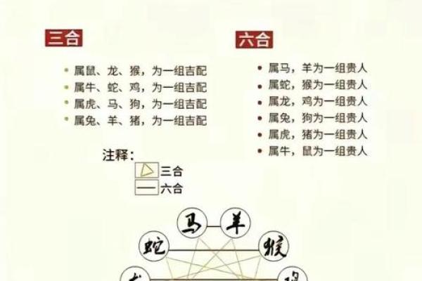 90马95猪八字合不合(90的马和95的猪相冲吗)