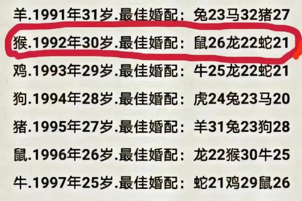 老鼠和蛇相配婚姻如何(老鼠和蛇配吗)
