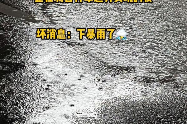 梦见下雨被雨淋