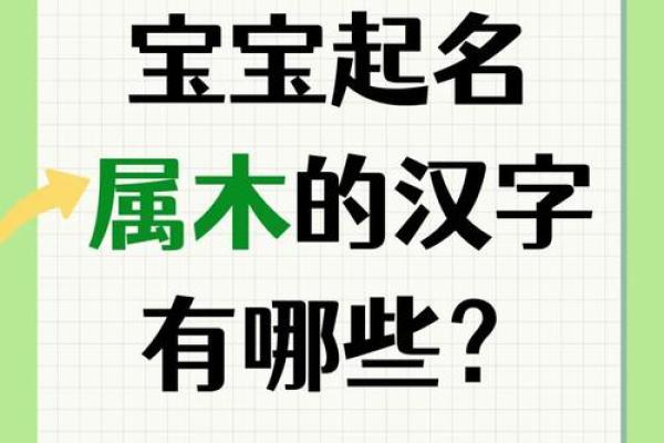 1000个属木女孩名字大全(五行属木的字1000个)