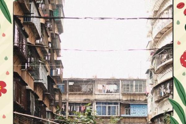 梦见回老家住老房子