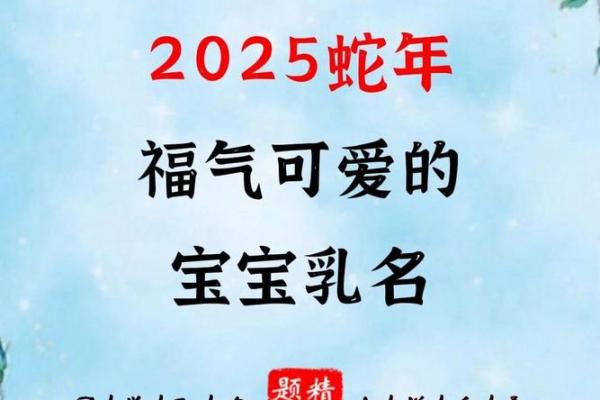 2025蛇年男孩名字(2025蛇年男孩名字陈紫什么)