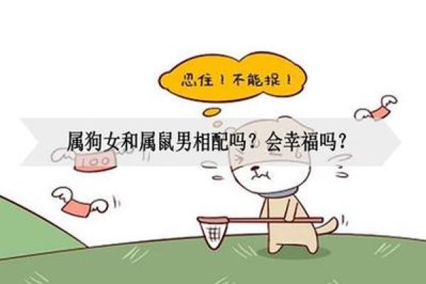 狗鼠婚配的婚姻如何(男狗女鼠婚姻最终结局)