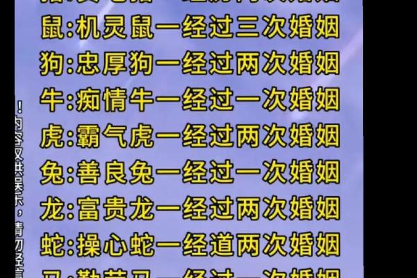 蛇和狗相配婚姻如何(蛇和狗相配婚姻如何 在一起好吗)