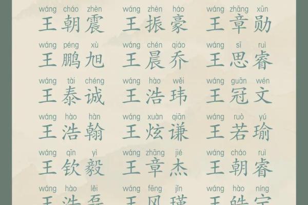 2025王姓最旺女孩名字(2020年姓王的女孩名字)