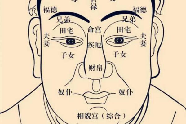 紫微斗数看天盘还是人盘(紫微斗数应该看人盘还是天盘)