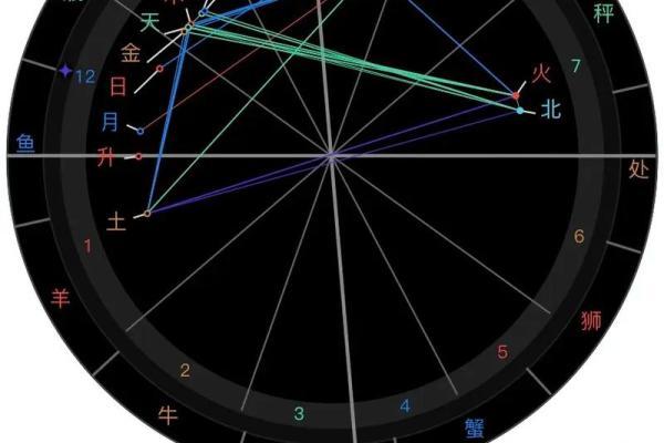 星盘测试分析,星盘准的可怕的原因大揭秘(星盘测运势准吗)